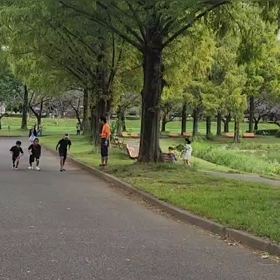 10/8 ミニ駅伝大会（中継所付近）①の画像
