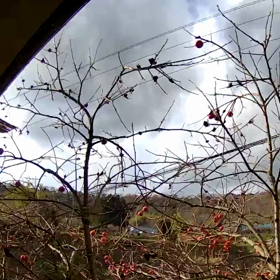 すぎぴたんの事件簿シーズン3　109話（また来た！アカン奴！）の画像