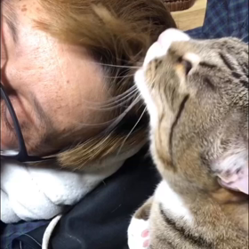 分け目。の画像