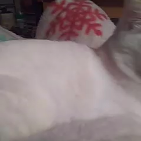 a10ヒロ君の画像