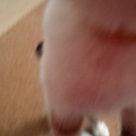 ウマウマの為なら!!の画像