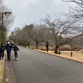 越谷春季記録会男子リレー選考会⑥の画像
