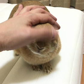 ごめんね②の画像