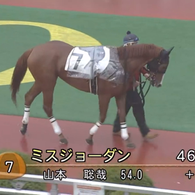 ミスジョーダンの画像