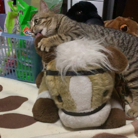 39日目。の画像