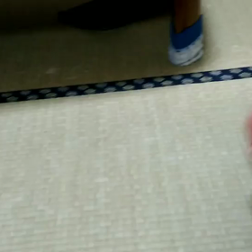 ネコの芸、頑張ってます！！の画像