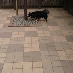 病院なうの画像