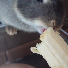 バナナ‼️の画像