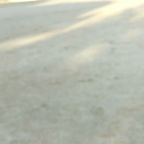 毎朝の日課の画像