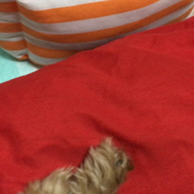 アロマに びっくり＼(◎o◎)／の画像