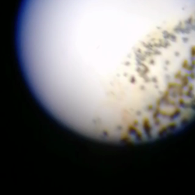 け⭕○⭕ょ⭕？？？の画像