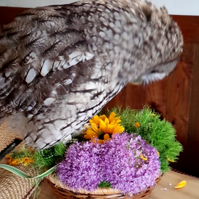 イタズラ vol 2  動画です♪の画像