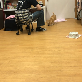 蘭丸編。の画像