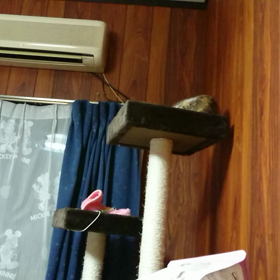 一人遊びの画像