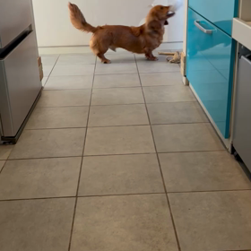 いつの間にか気持ちが通じる関係にの画像