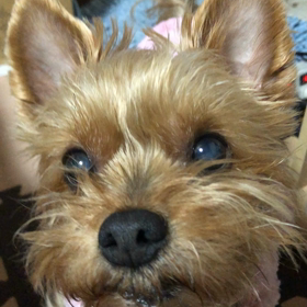 さてさて、またまた バタバタ過ごしています。の画像