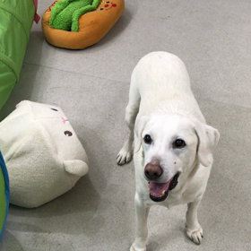 ♪プレイルーム動画♪①の画像