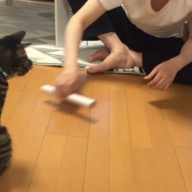 ３２８日目 日本一地味な遊び？の画像