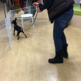 ママの方が上手いかも(*≧∀≦*)の画像