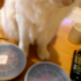 ただいまぁ～(￣∇￣*)ゞの画像