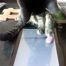 よし子 アプリで遊ぶ(｡･ω･｡)の画像