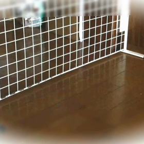 ついに！ ∑(ﾟДﾟ;)の画像