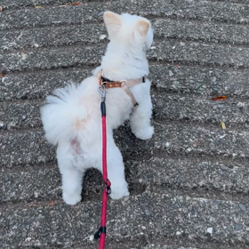 お疲れ！の画像