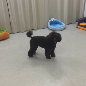 ♪プレイルーム動画♪の画像