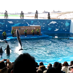仙台うみの杜の水族館の画像