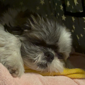 トリリオンゲーム　第1話から5話の画像