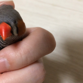 週明けはこれで乗り切るの画像