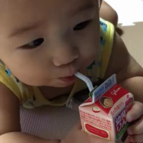 今日の蒼羽の画像