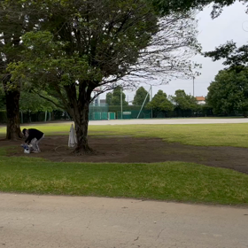 快晴の朝の画像