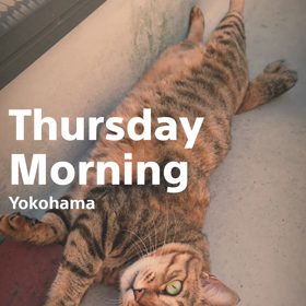 猫と庭とダイエットの画像