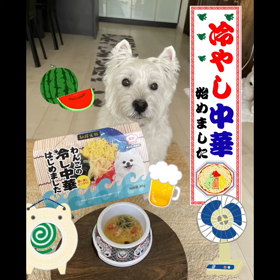 冷やし中華始めましたの画像