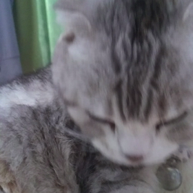 身体を舐めるジェームズの画像