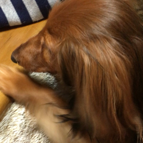 喧嘩が原因？の画像