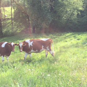 外に出てたのしめるようになることの画像