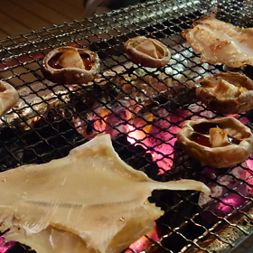 エイヒレラプの画像