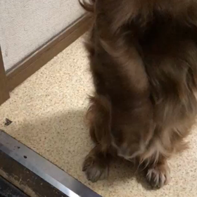 バリーの得意技の画像