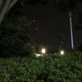 ニッパツ三ツ沢球技場にての画像