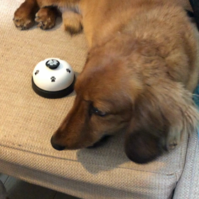 ７６７€の巻の画像