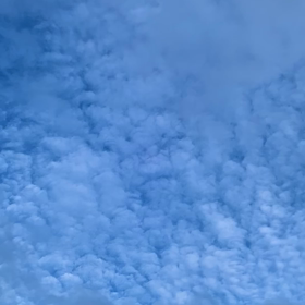 いつぶりだろ。の画像