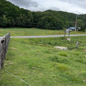 どこまでも登る息子の画像