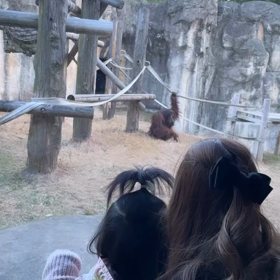 新しい道の画像