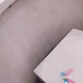 猫じゃらしの画像