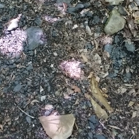 未来の道を歩く為にの画像