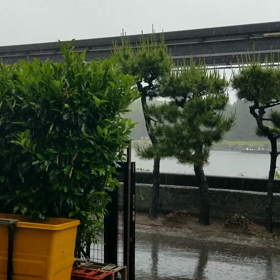 大井２日目　あいにくすぎる天気……の画像