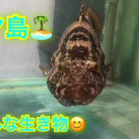 大自然の動物たち☆の画像
