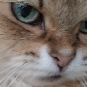 季節の変わり目の画像